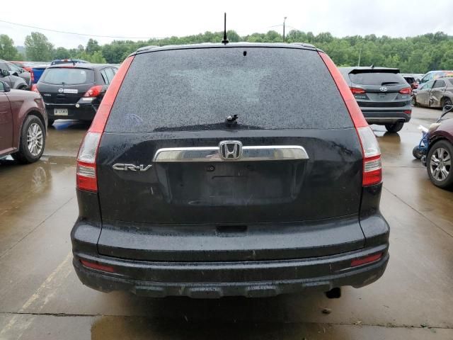 2010 Honda CR-V EX