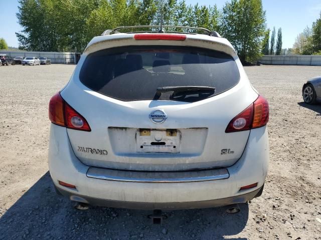 2010 Nissan Murano S