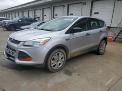 2015 Ford Escape S en venta en Louisville, KY