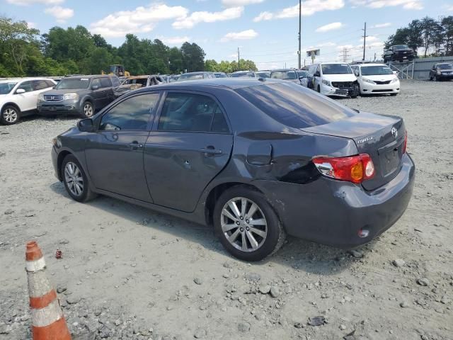 2010 Toyota Corolla Base