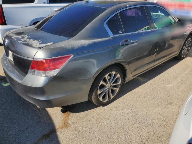 2010 Honda Accord EXL