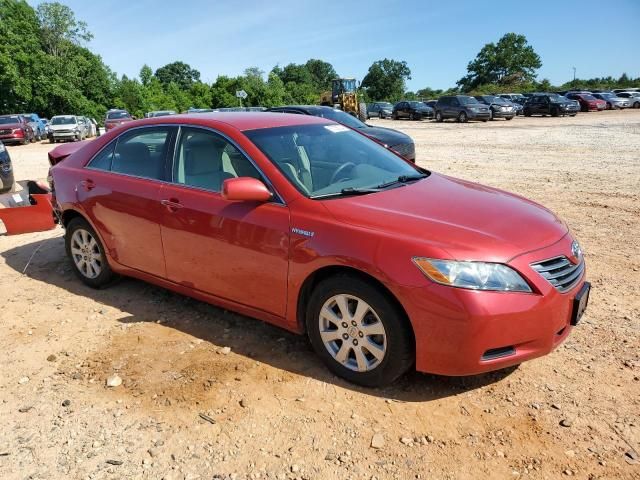 2009 Toyota Camry Hybrid