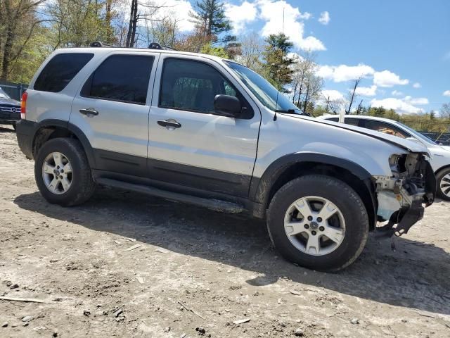 2006 Ford Escape XLT