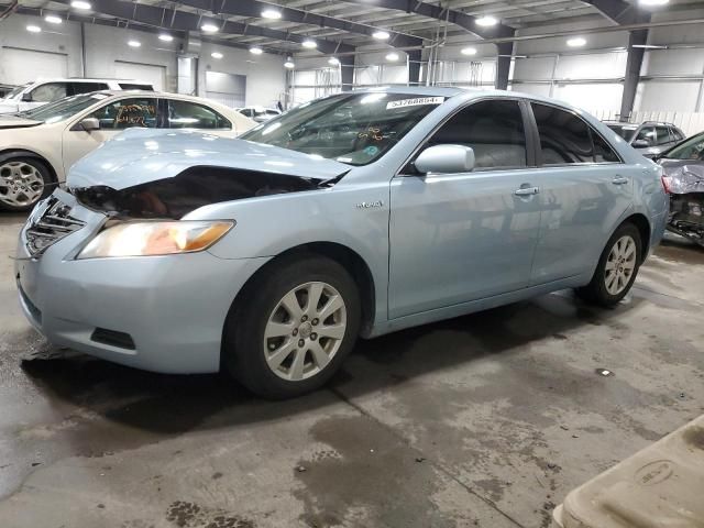 2009 Toyota Camry Hybrid