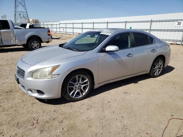 2010 Nissan Maxima S