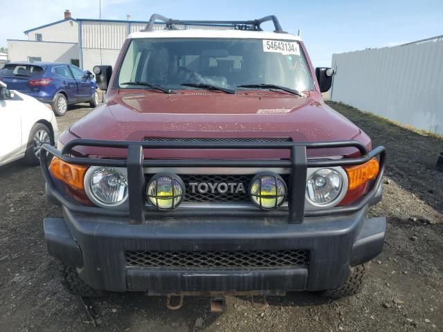 2008 Toyota FJ Cruiser