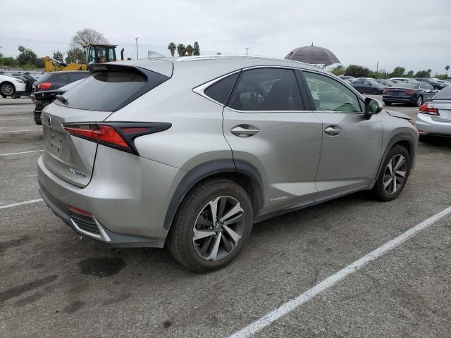 2021 Lexus NX 300H Base