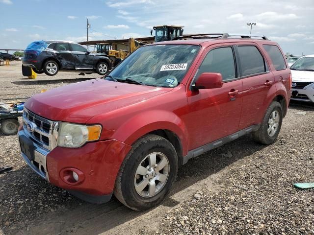 2011 Ford Escape Limited