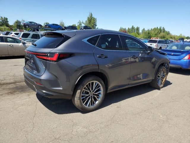 2022 Lexus NX 350H