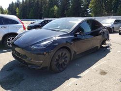 Tesla Model y salvage cars for sale: 2023 Tesla Model Y