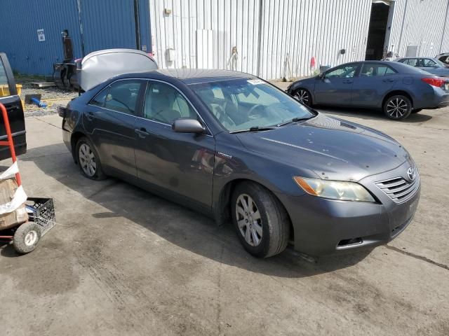 2008 Toyota Camry Hybrid