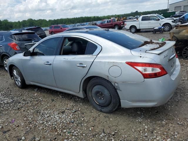 2010 Nissan Maxima S