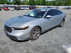 Honda Accord salvage cars for sale: 2024 Honda Accord EX