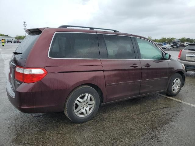 2007 Honda Odyssey EXL