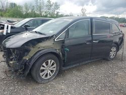 Honda Odyssey EX salvage cars for sale: 2016 Honda Odyssey EX