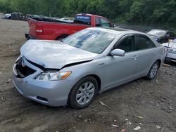 Toyota salvage cars for sale: 2008 Toyota Camry Hybrid