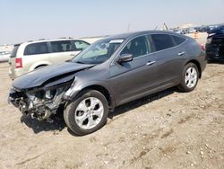 Honda Crosstour salvage cars for sale: 2012 Honda Crosstour EXL