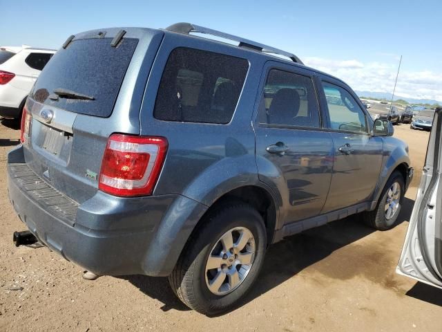 2011 Ford Escape Limited