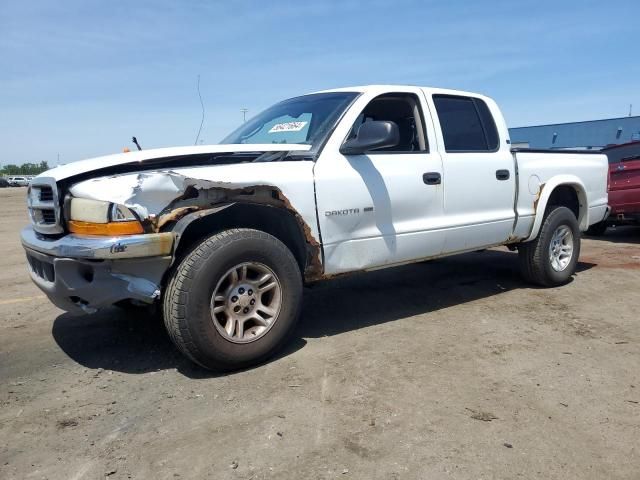 2001 Dodge Dakota Quattro