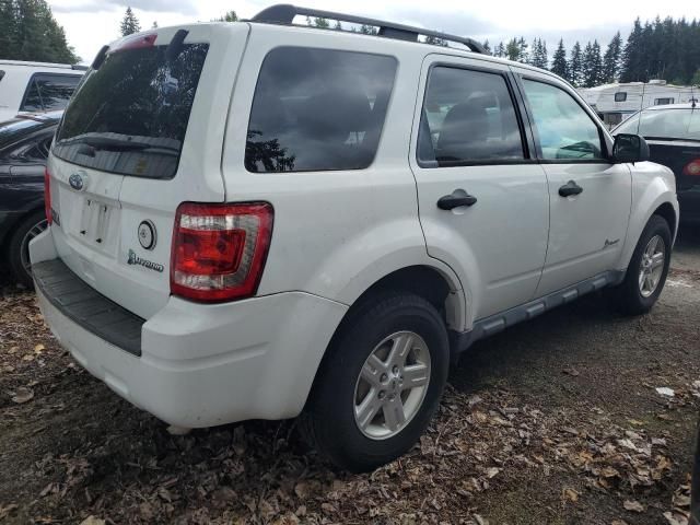 2011 Ford Escape Hybrid