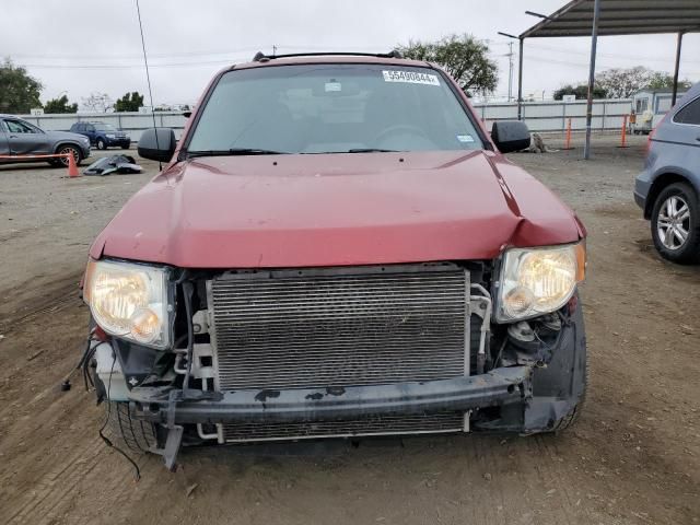 2012 Ford Escape XLT