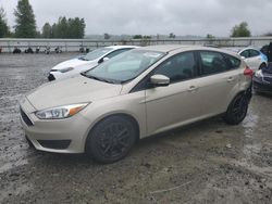 2018 Ford Focus SE for sale in Arlington, WA
