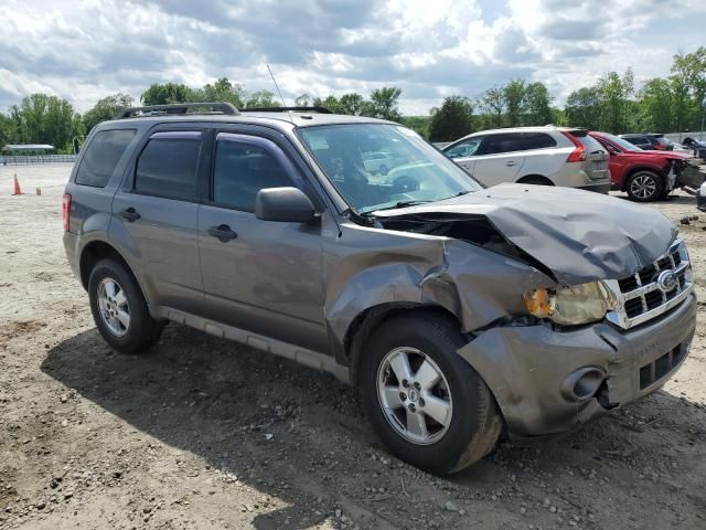 2009 Ford Escape XLT