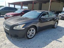 Salvage cars for sale from Copart Homestead, FL: 2012 Nissan Maxima S