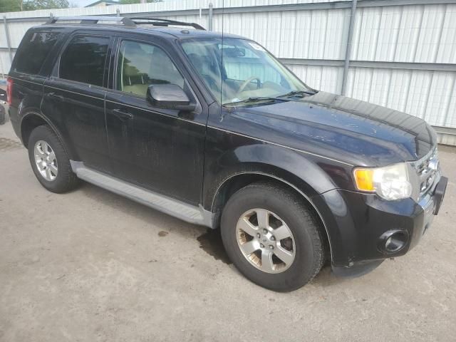 2011 Ford Escape Limited