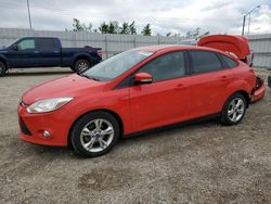 2012 Ford Focus SE for sale in Nisku, AB