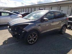 Ford Escape Titanium Vehiculos salvage en venta: 2014 Ford Escape Titanium