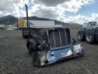 2007 Peterbilt 386