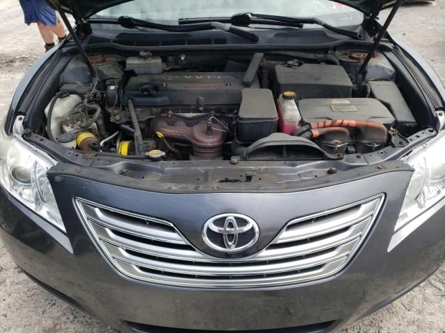 2009 Toyota Camry Hybrid