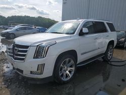 Cadillac Escalade salvage cars for sale: 2019 Cadillac Escalade Luxury