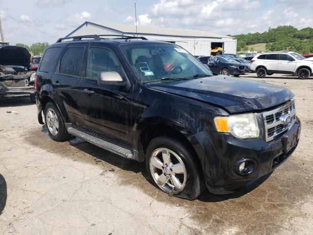 2010 Ford Escape XLT