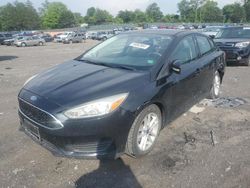 2015 Ford Focus SE for sale in Madisonville, TN