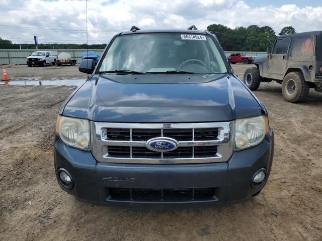 2008 Ford Escape XLT