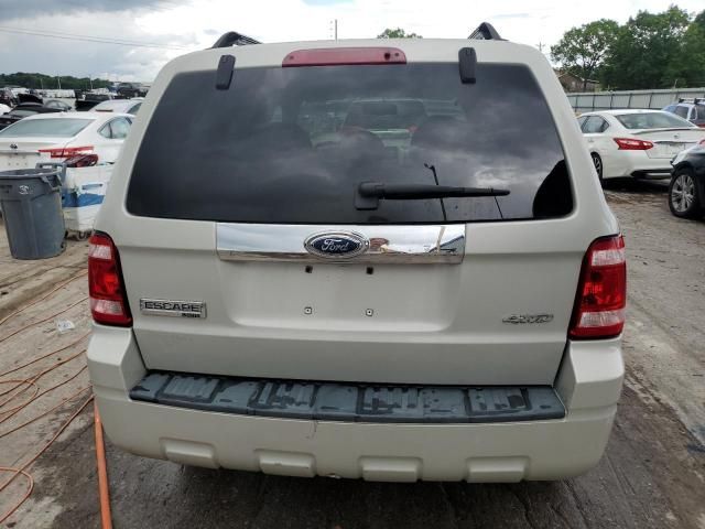 2008 Ford Escape Limited