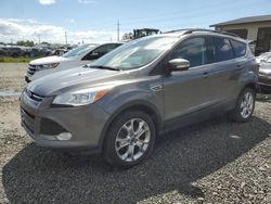 2013 Ford Escape SEL for sale in Eugene, OR