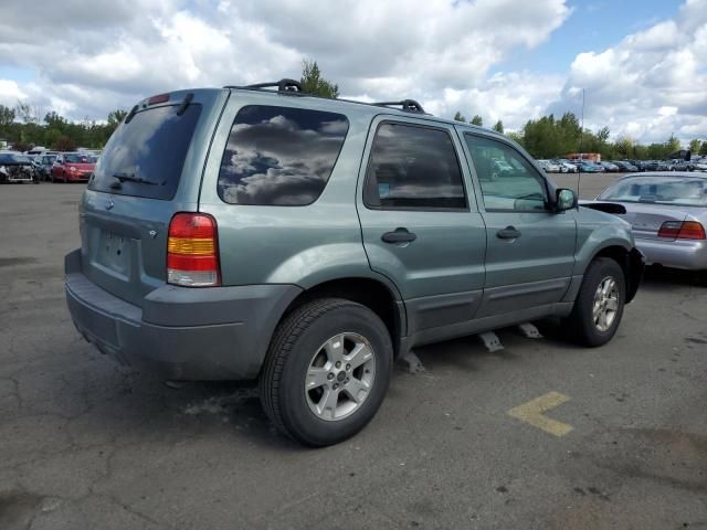 2007 Ford Escape XLT