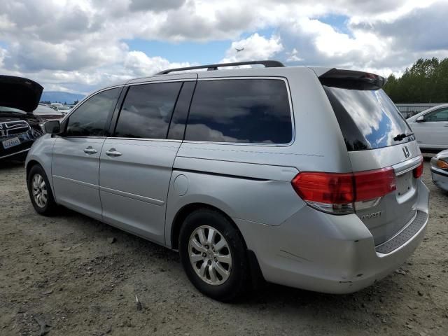 2010 Honda Odyssey EXL