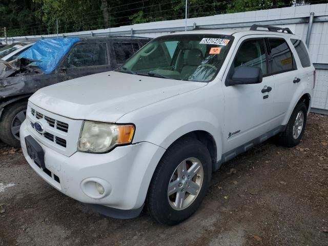 2011 Ford Escape Hybrid