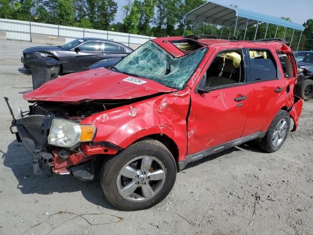 2009 Ford Escape XLT