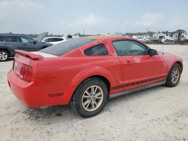 2005 Ford Mustang