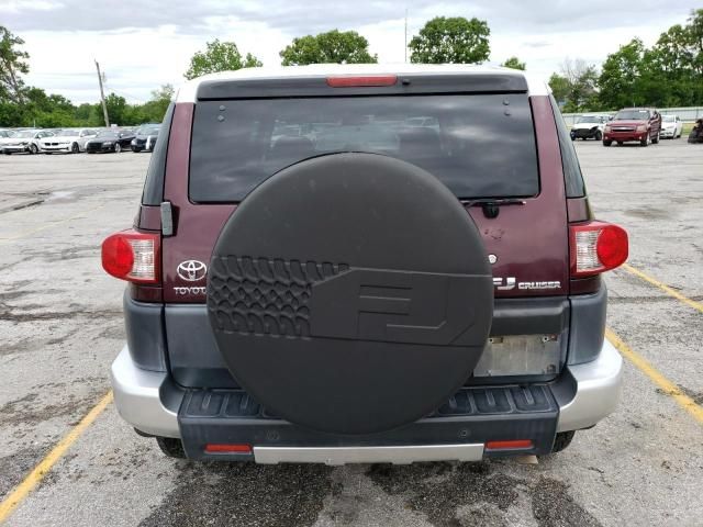 2007 Toyota FJ Cruiser