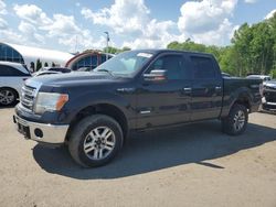 Ford salvage cars for sale: 2013 Ford F150 Supercrew