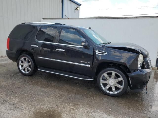 2009 Cadillac Escalade Luxury