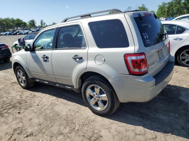 2009 Ford Escape XLT