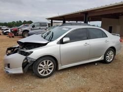 Salvage cars for sale from Copart Tanner, AL: 2010 Toyota Corolla Base