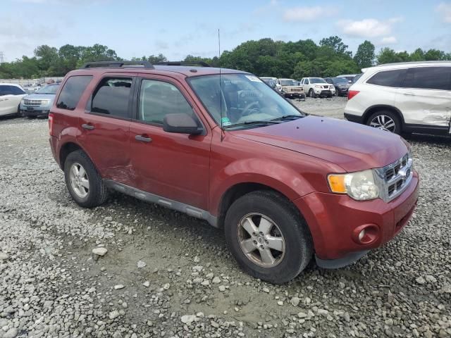 2012 Ford Escape XLT